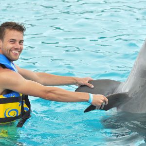 Encounter With Dolphins, Promotion 4 X 3