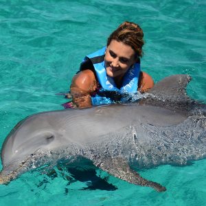 Encuentro Con Delfines Tours En Puerto Vallarta