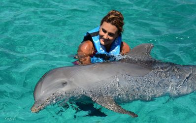 Encuentro Con Delfines Tours En Puerto Vallarta