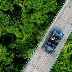 RZR Regular Mas Puente Colgante Para 1 O 2 Personas Tours En Puerto Vallarta