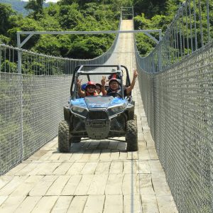 RZR Regular + Puente Colgante para 3 o 4 Personas Tours en Puerto Vallarta