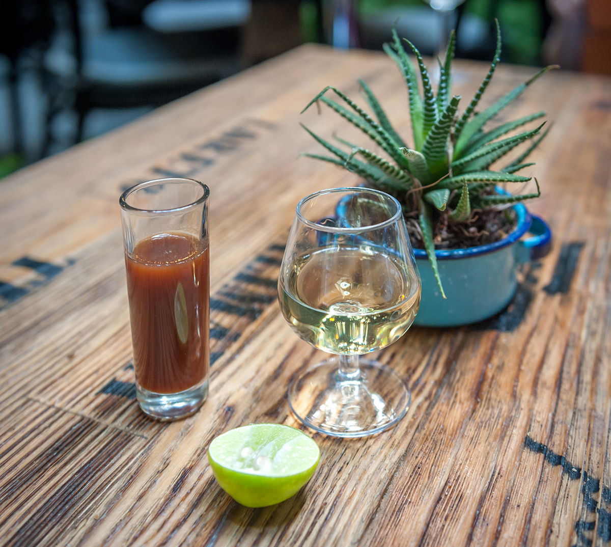 Tequila Jalisco, Pueblo Mágico en la República Mexicana Tours en