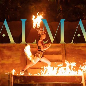 Rhythms of the Night without open bar, Beach, Jungle, and the spectacular “Alma” show