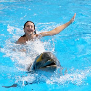 Experience With Dolphins