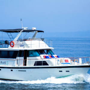 Hatteras Yacht (58 Feet) for tours in Puerto Vallarta, Max 20 People