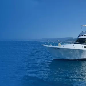 GSL Boat 42 feet